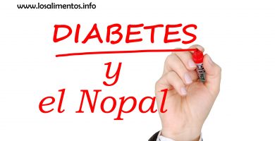 Nopal para la Diabetes ¿Por qué y Cómo consumirlo? 3 Nopal para la Diabetes ¿Por qué y Cómo consumirlo? 3