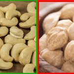 Nuez de la India: ¿Tóxica o para Bajar de Peso? Solucionado 6