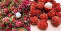 Lichi y Rambután: Diferencias entre frutas 5
