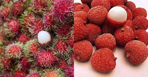 Lichi y Rambután: Diferencias entre frutas 1