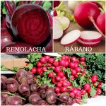 Remolacha y Rábano: Diferencias, Beneficios y Jugo anti-Cáncer 2