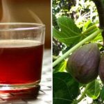 Té de Hojas de Higo para bajar de peso y más Beneficios 4