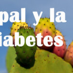 Nopal para la Diabetes ¿Por qué y Cómo consumirlo? 4