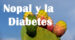 Nopal para la Diabetes ¿Por qué y Cómo consumirlo? 4